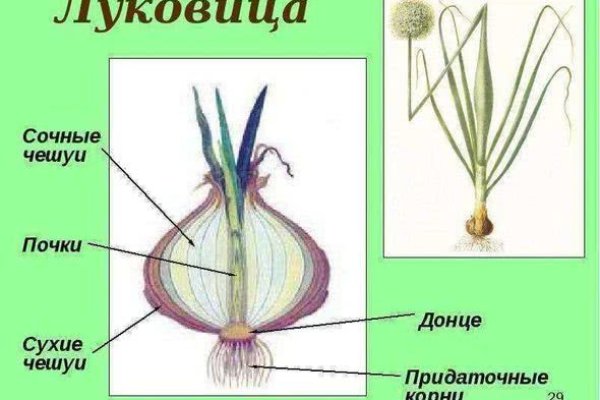 Купить грамм гашиша