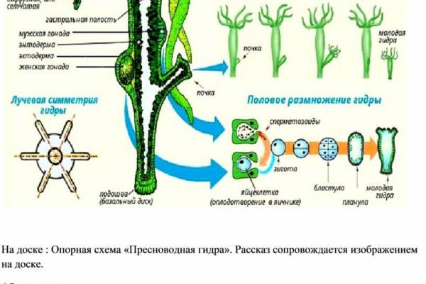 Кракен магазин v5tor cfd